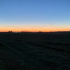 Meet your Posher, Omar